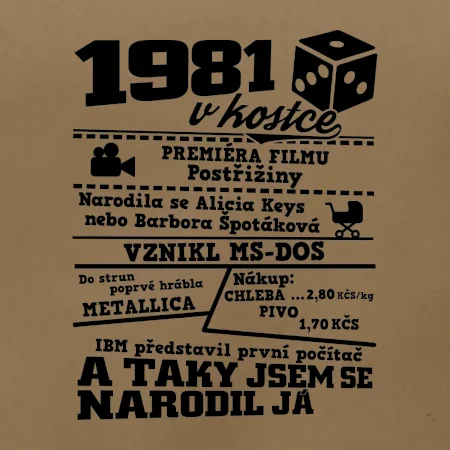 1981 v kostce