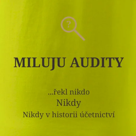 Miluju audity řekl nikdo nikdy