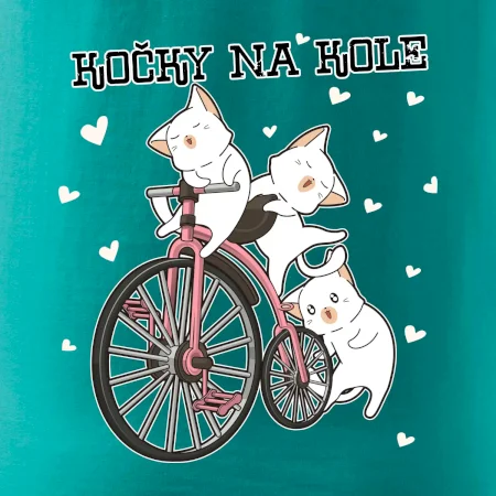 Kočky na kole