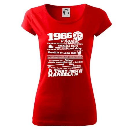 1966 v kostce