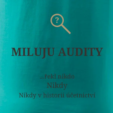 Miluju audity řekl nikdo nikdy
