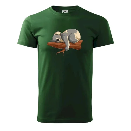 Koala na větvi