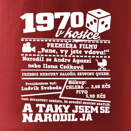 1970 v kostce