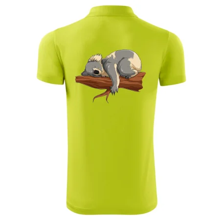 Koala na větvi