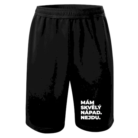 MÁM SKVĚLÝ NÁPAD. NEJDU.