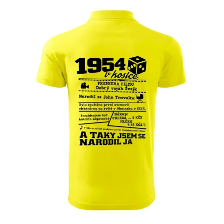 1954 v kostce