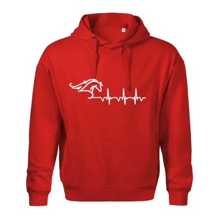 Hlava koně EKG