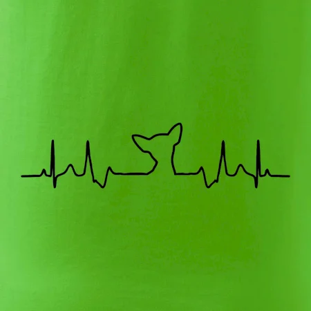 Čivava EKG