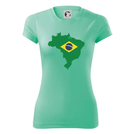 Brazílie vlajka v mapě