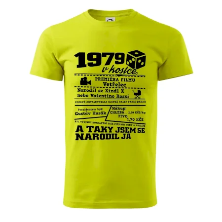 1979 v kostce