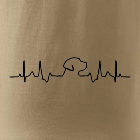 Labrador EKG