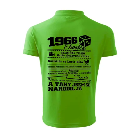 1966 v kostce