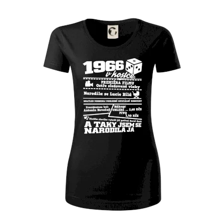 1966 v kostce