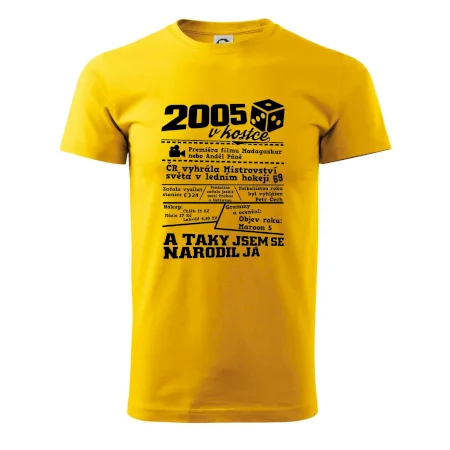 2005 v kostce