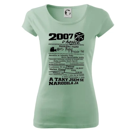 2007 v kostce
