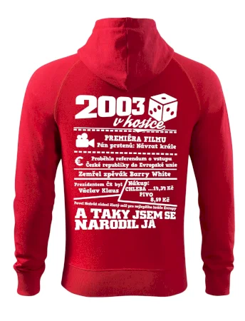 2003 v kostce