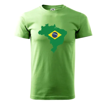Brazílie vlajka v mapě