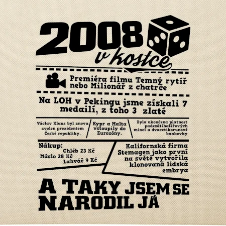2008 v kostce