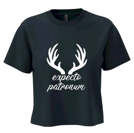 Harry - Expecto patronum