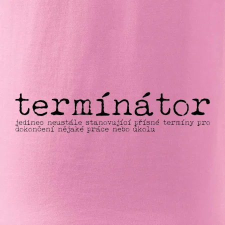 Čeština 2.0 - termínátor