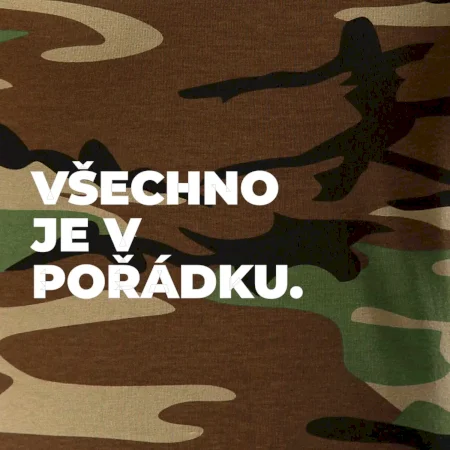 VŠECHNO JE V POŘÁDKU.