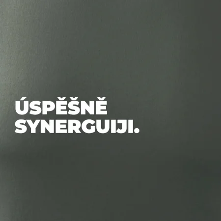 ÚSPĚŠNĚ SYNERGUIJI.