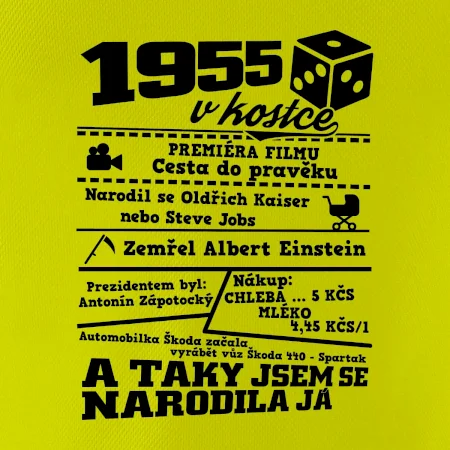 1955 v kostce