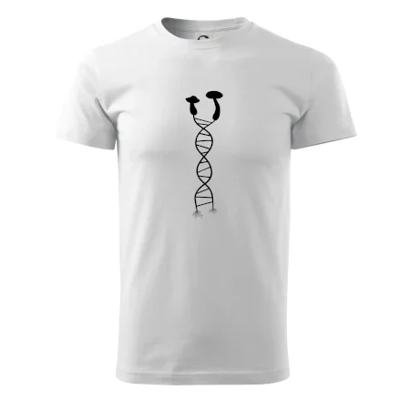 DNA houby