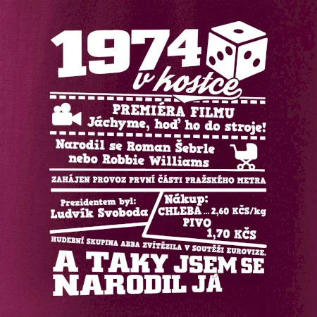 1974 v kostce