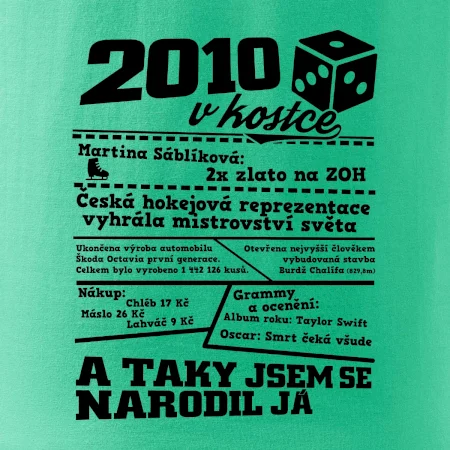 2010 v kostce