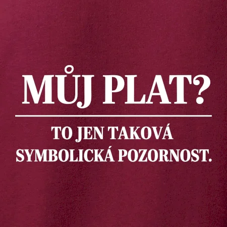 Můj plat? to jen taková symbolická pozornost
