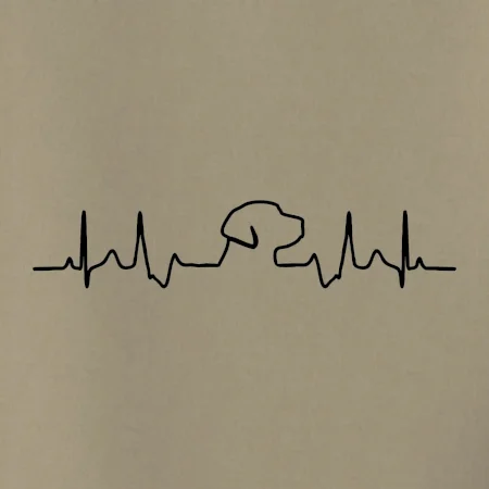 Labrador EKG