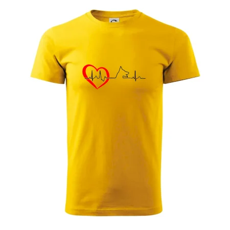 Německý ovčák ekg