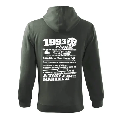 1993 v kostce