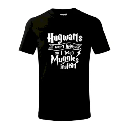 Harry - Hogwarts wasn’t hiring, so I teach Muggles instead