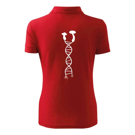 DNA houby