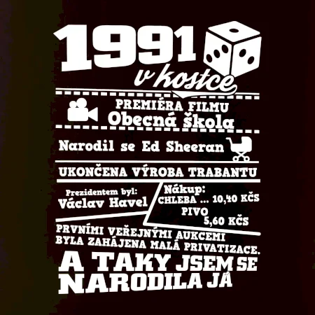 1991 v kostce