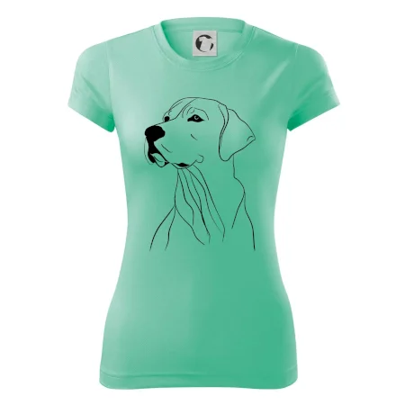 Labrador černá kresba