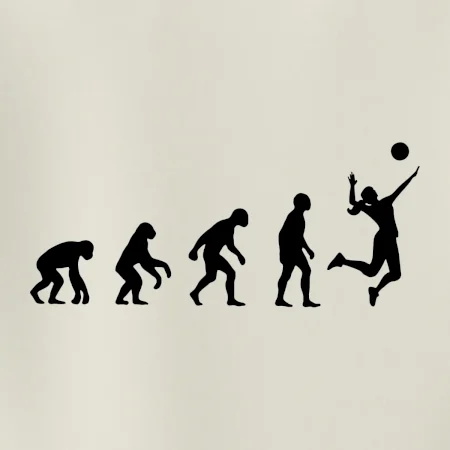 Evoluce volejbal culík