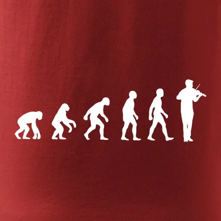 Evoluce houslista