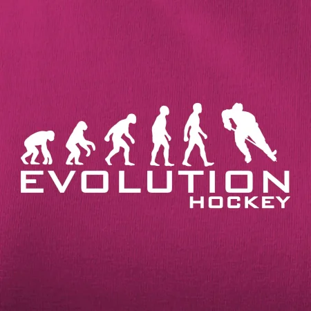 Evoluce Hockey - hráč