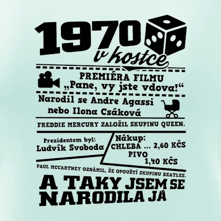 1970 v kostce