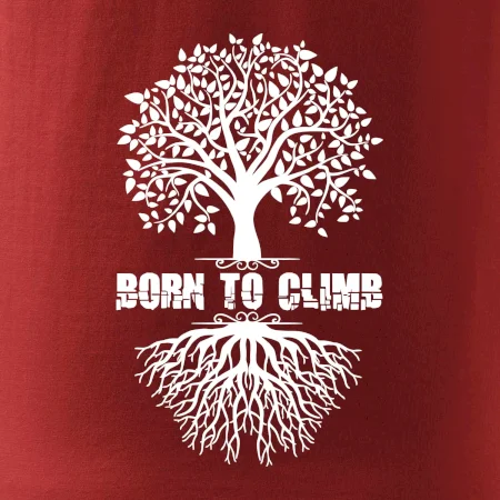 Born to climb