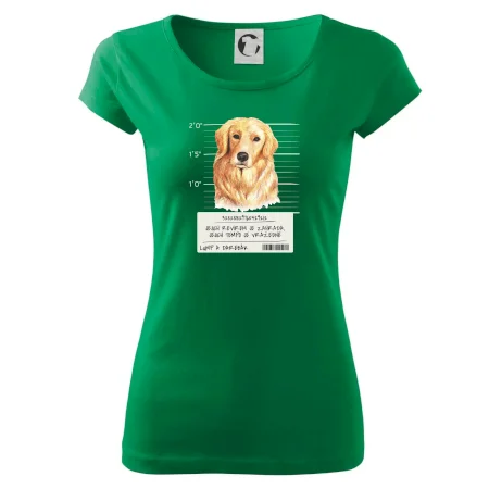Lump a darebák zlatý retrívr