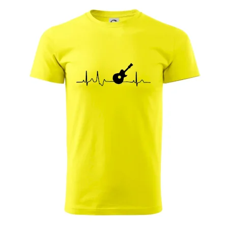 EKG akustická kytara