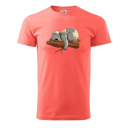 Koala na větvi