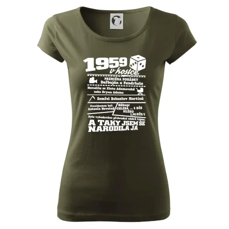 1959 v kostce