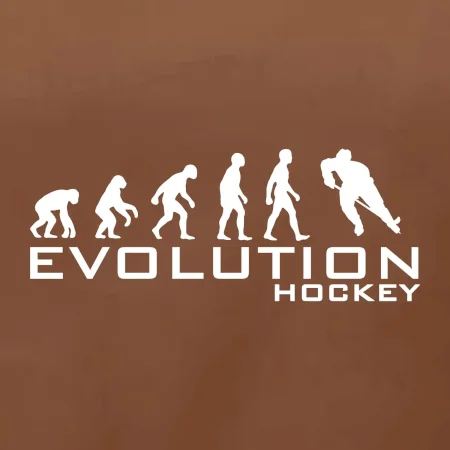 Evoluce Hockey - hráč
