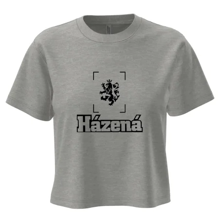 Národní házená lev