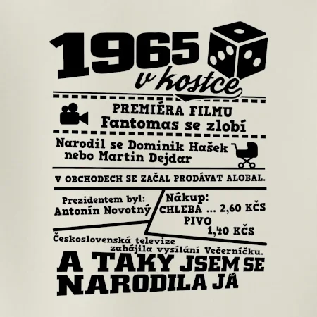 1965 v kostce